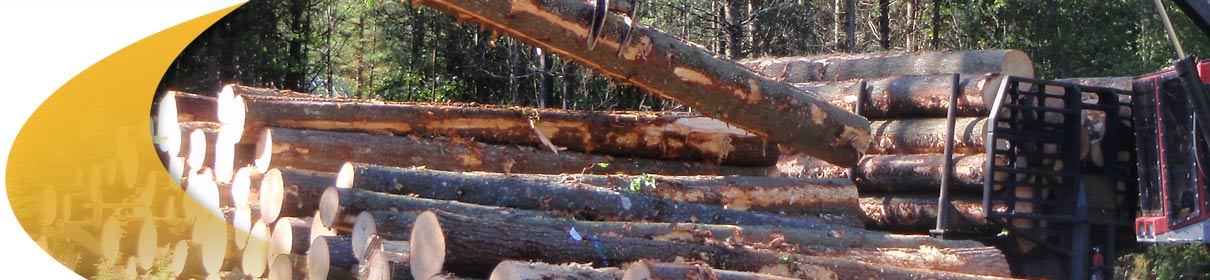 Support, Forestry Management Software