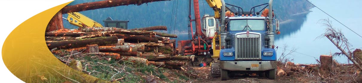 what-it-does-secondary-photo-1210pix What it does, Forestry Management Software