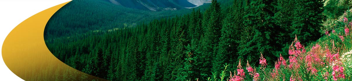 why-do-it-secondary-photo-1210pix Why do it, FOREST OPS Forestry Software